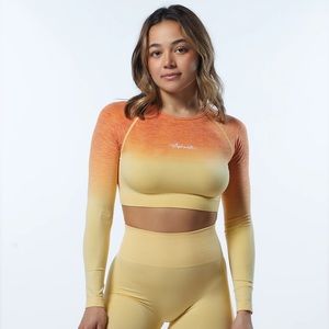 Ombre Cropped Seamless Long Sleeve